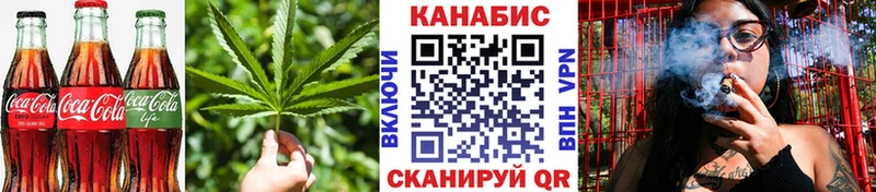 купить наркотики сайты  Светогорск  Canna-Cookies марихуана 