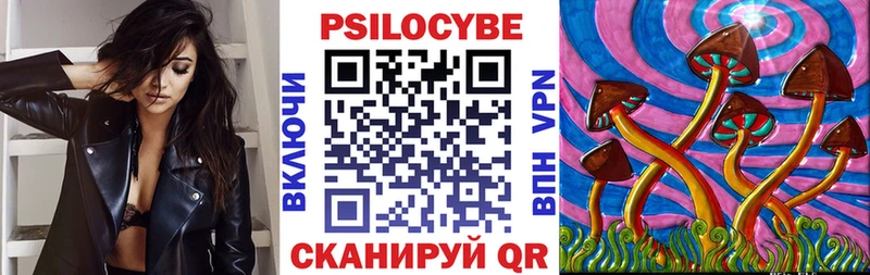 Галлюциногенные грибы Psilocybine cubensis  наркошоп  Светогорск 